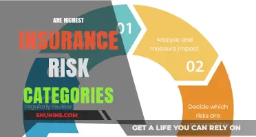 Understanding the Highest Insurance Risk Categories