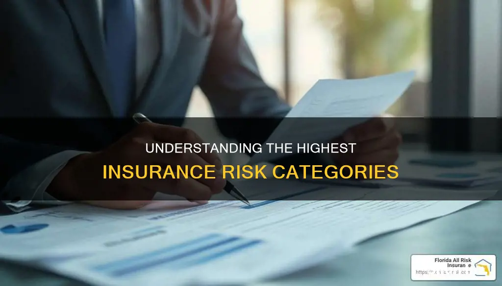 are highest insurance risk categories