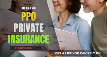 Understanding HMO and PPO: Private Insurance Options