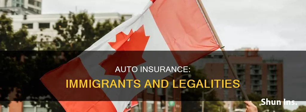 are illegal immigrants required to have auto insurance