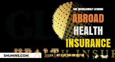 Exploring Global Health Insurance Options for International Travelers and Expats