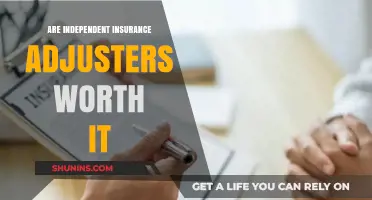 Independent Adjusters: Worth the Cost?