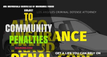 Insurance Fraud: Community Penalties for Convicted Individuals