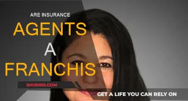 Insurance Agents: Franchise or Independent?