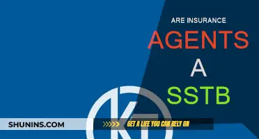 Insurance Agents: Are They a SSTB?