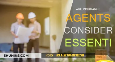 Insurance Agents: Essential or Not?