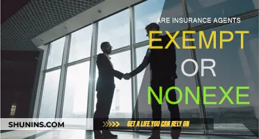 Insurance Agents: Exempt or Non-Exempt?