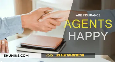 Insurance Agents: Happy or Unhappy?