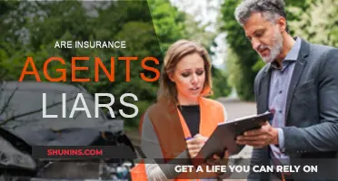 Insurance Agents: Truth or Deception?