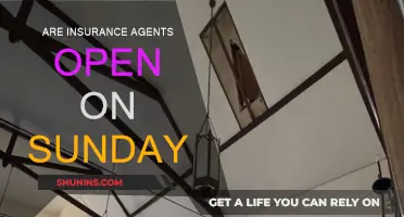 Insurance Agents: Are They Available on Sundays?