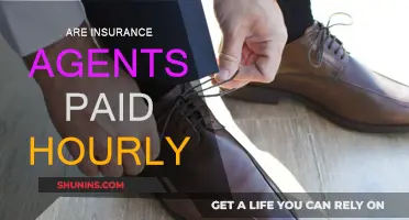 Insurance Agents: Are They Paid by Hour?