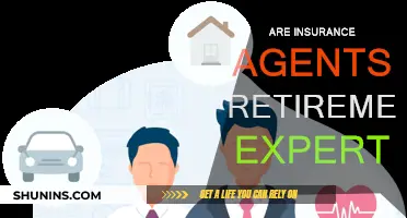 Retirement Planning: Insurance Agents' Expertise Explored
