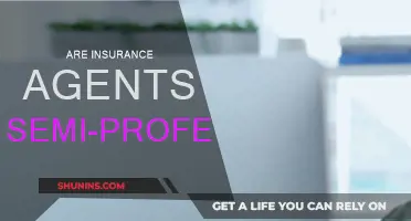 Insurance Agents: Semi-Professionals or Not?