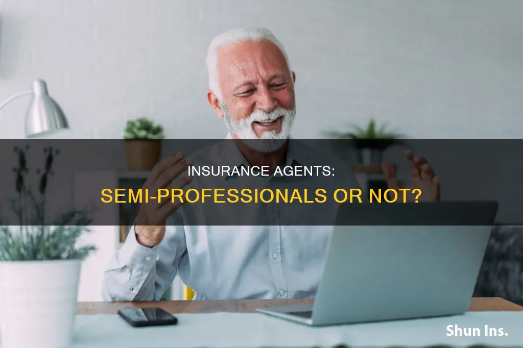 are insurance agents semi-professionals