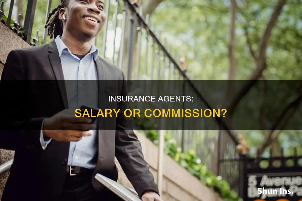 are insurance agest commission onoly