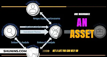 Insurance: Asset or Liability?