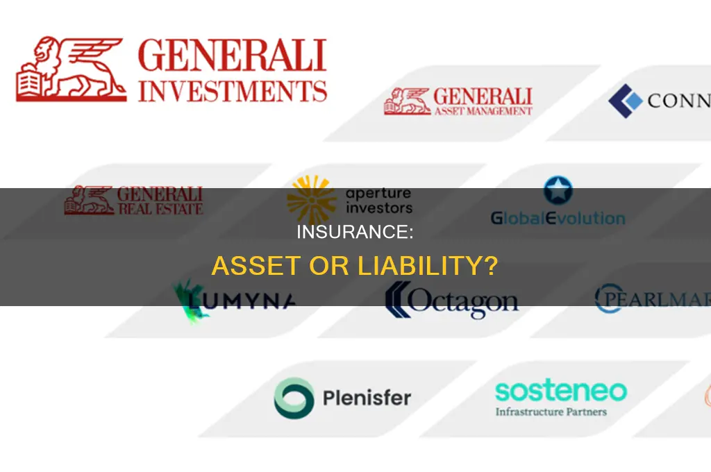 are insurance an asset