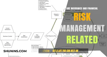 Risk Management: Insurance and Finance's Shared Focus