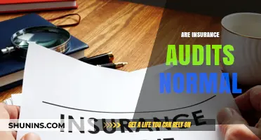 Insurance Audits: A Normal Part of Business Operations?