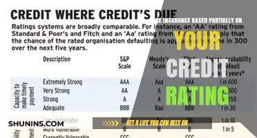 Credit Rating: A Factor in Insurance Pricing