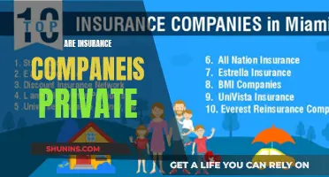 Insurance Companies: Understanding Their Private Nature