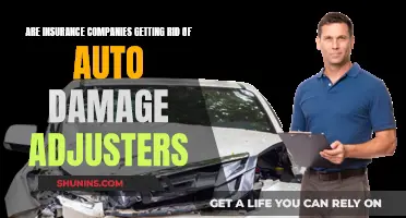 Auto Adjusters: An Endangered Species?