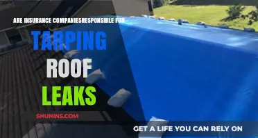 Insurance Companies: Roof Leak Tarp Responsibilities