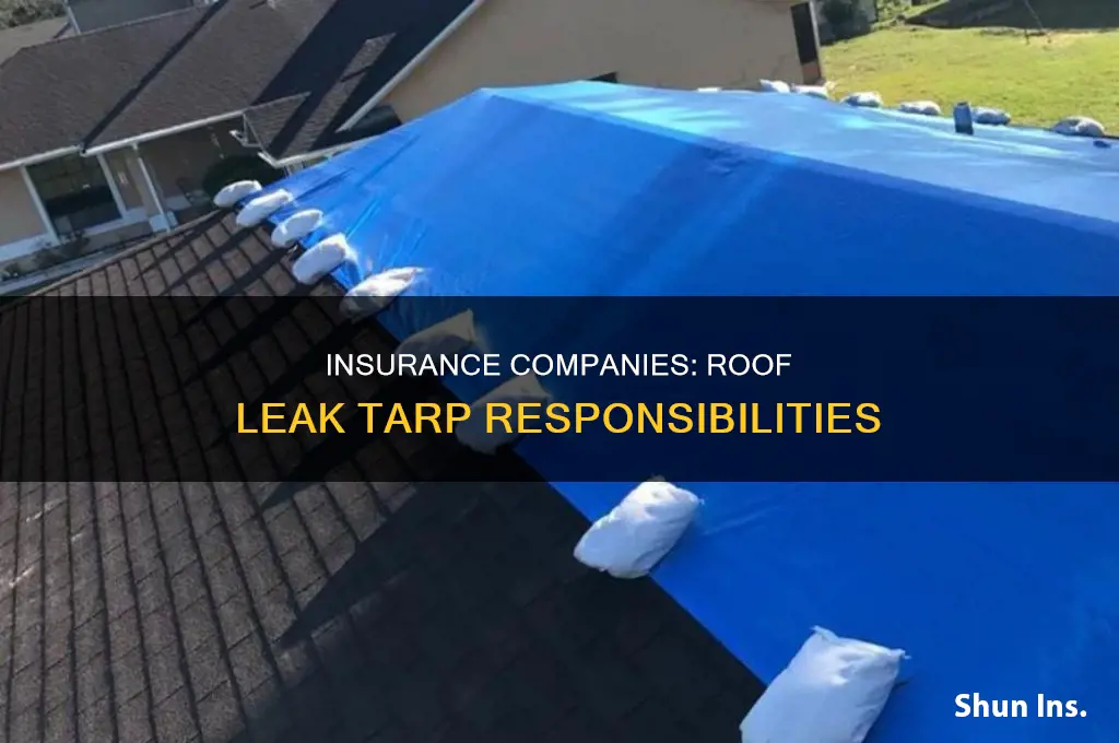 are insurance companiesresponsible for tarping roof leaks