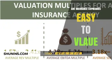 Valuing Insurance Companies: A Simple or Complex Task?