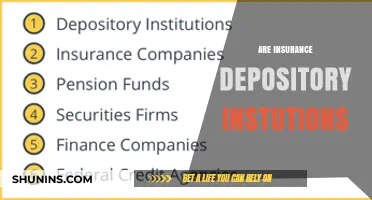 Depository Institutions and Insurance: What's the Connection?