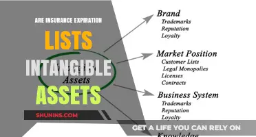 Insurance Expiration Lists: Intangible Assets or Not?