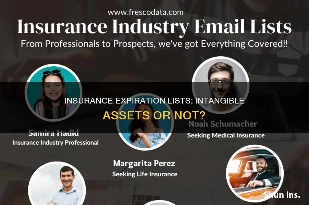 are insurance expiration lists intangible assets