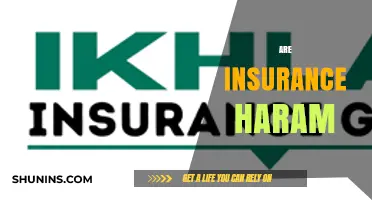 Insurance and Islam: Is it Halal or Haram?
