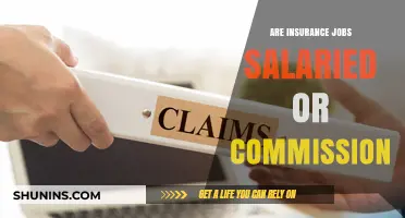 Salary or Commission: How Are Insurance Jobs Compensated?