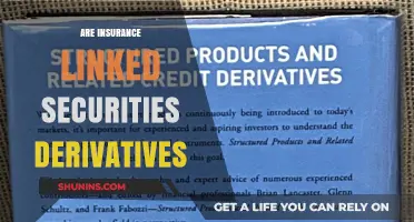 Insurance-Linked Securities: Derivatives or Not?