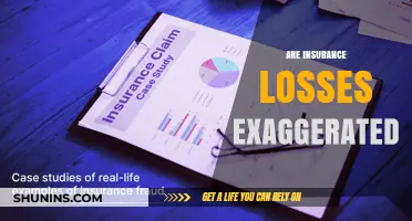 Insurance Losses: Exaggerated Claims or Truthful Reports?
