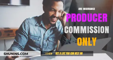 Insurance Producers: Commission-Only Work?