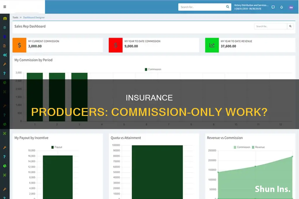 are insurance producer commission only