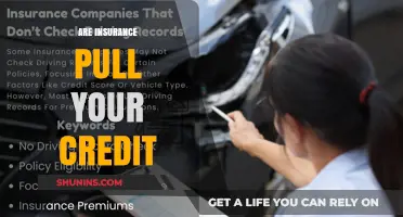 How Insurance Companies Use Your Credit Score