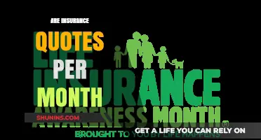 Monthly Insurance Quotes: How Much Do They Cost?