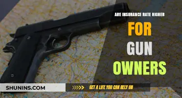 Gun Owners: Insurance Rates and Risks