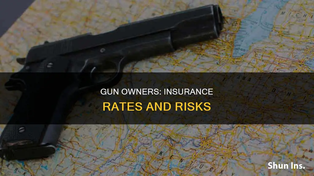 are insurance rate higher for gun owners