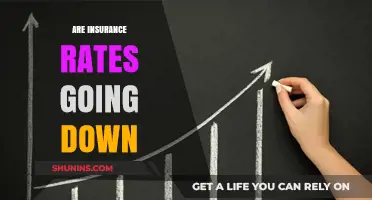 Insurance Rates: Are They Dropping?