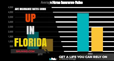 Florida Insurance Rates: Rising Costs and Challenges