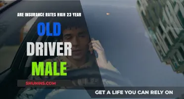 Insurance Rates: High for a 23-Year-Old Male Driver?