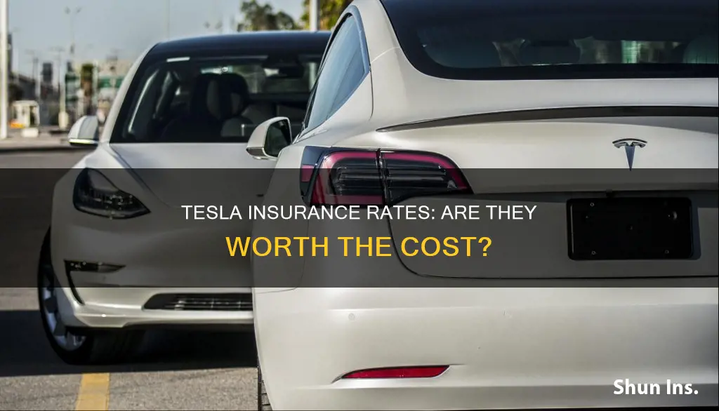 are insurance rates higher for tesla