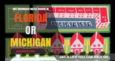 Insurance Rates: Florida vs Michigan — Who Pays More?