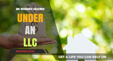 LLC for Insurance Agents: Pros and Cons