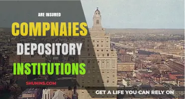 Insured Companies: Are They Like Depository Institutions?