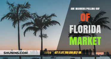 Florida's Insurance Market: Insurers Pulling Out, What's Next?